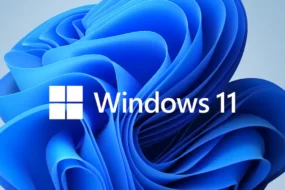 Windows 11 logo