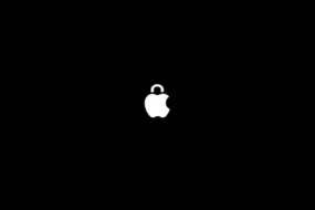 Apple Privacy Logo