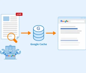 Google Search renunță la funcția cache pentru websiteuri
